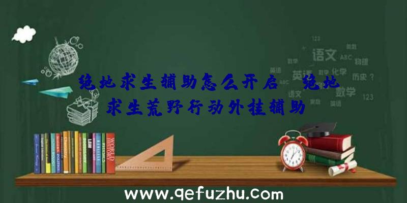 「绝地求生辅助怎么开启」|绝地求生荒野行动外挂辅助